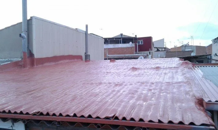 Recubrimiento de una cubierta de fibrocemento — foto 2